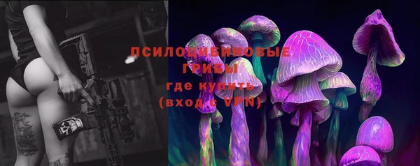 мдпв Верея