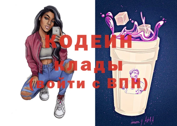 мдпв Верея