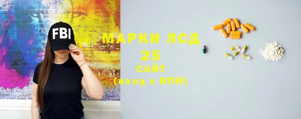 мдпв Верея