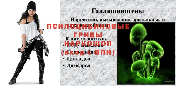 мдпв Верея