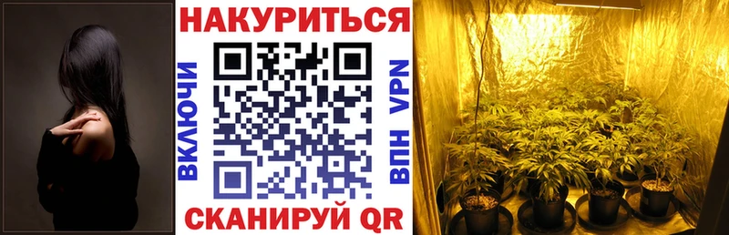 Шишки марихуана гибрид  Новодвинск 